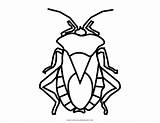 Beetle sketch template