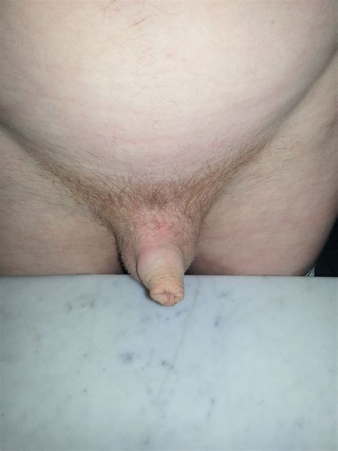 04  In Gallery Small Hairy Cock Picture 4 Uploaded By