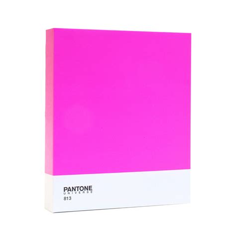 classic collection bright pink  pantone canvas touch  modern