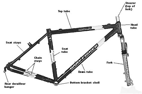 mountain bike    choose  good mountainbike bicycles stack exchange