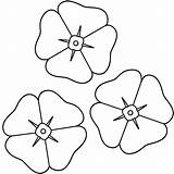 Poppy Template Coloring Colouring Printable Pages Choose Board Remembrance Kids Sheets sketch template