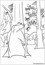 Coloring Boog Pages Behind Hiding Tree Season Open Printable Color Woods Book Bear Kids Forest Online Colorings Info Drawing sketch template