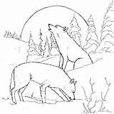 Wolf Coloring Pages Adults Printable Animal Wolves Print Color Wild Colouring Detailed Moon Adult Sheets раскраски Gif Books Birthday Embroidery sketch template