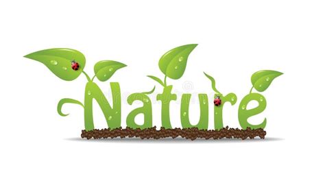 nature sign stock vector illustration  sign decoration