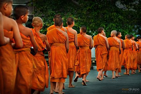 moines bouddhistes bouddhiste