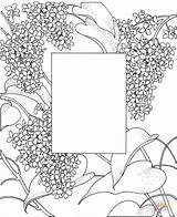 Coloring Frame Pages Printable Color Supercoloring Version Click Flowers Clipart Tablets Compatible Ipad Android Categories sketch template