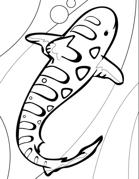 tiger shark coloring page book