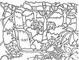 Coloring Forest Waterfalls Kids sketch template