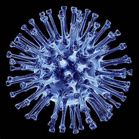 hn flu virus particle artwork photograph  pasieka