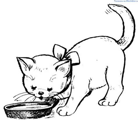 kitten eating coloring pages cat drinking cute cat drawing cat colors