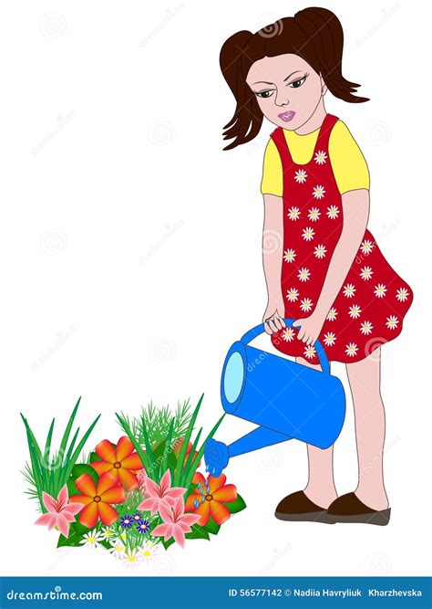 Girl Watering Flowers Stock Vector Illustration Of Summer 56577142