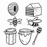Jars Bees Hand sketch template