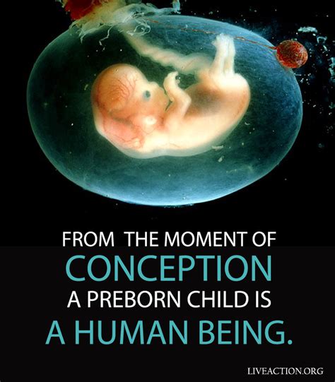 from the moment of conception prolife graphic clinicquotes