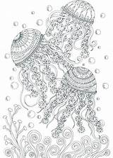 Coloring Pages Adult Adults Printable Summer Ocean Book Colouring Jellyfish Books Dementia Dolphin Sheets Print Fish Themed Mandala Advanced Animal sketch template