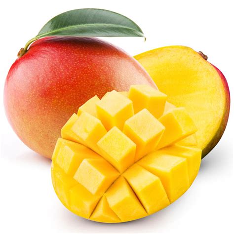 mango   flavor apprentice flavours