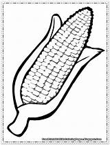 Corn Coloring Pages Cob Printable Cartoon Kids Clipart Color Thanksgiving Drawing Vegetable Cliparts Harvest Print Preschool Clip Fall Pre Candy sketch template