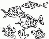 Fishes Reef Kolorowanki Rafa Koralowa Koralle Loudlyeccentric Piranha sketch template