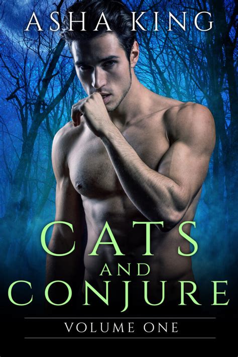 cats and conjure vol i