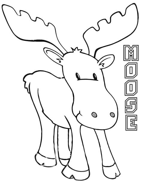 moose coloring pages drawing pictures  printable coloring pages