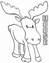 Moose Coloring Pages Drawing Print Printable Getdrawings Kids sketch template