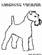 Airedaleterrier Pages Dogs Coloring Printable Fun sketch template