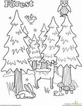 Coloring Pages Worksheets Animal Forest Preschool Camping Nature Kindergarten Printable Colouring Kids Preschoolers Worksheet Tree Color Sheets Printables Track Woodland sketch template