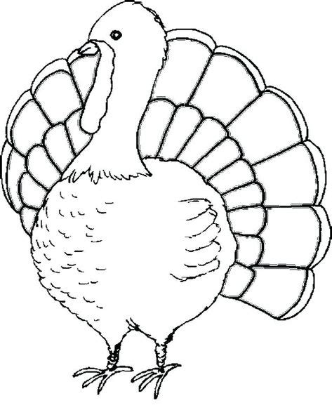 coloring turkey pictures printable  fancy  pages kids template
