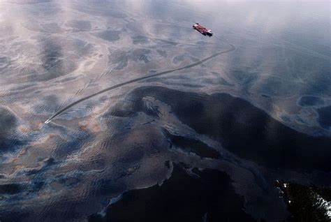 anniversary   exxon valdez oil spill  sees oil