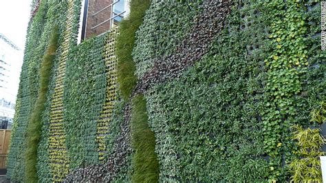 green walls create  urban jungles cnncom