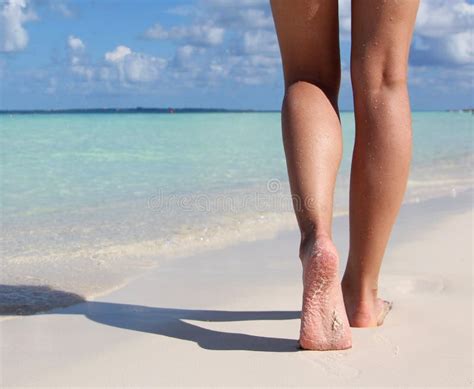 legs  tropical sand beach walking female feet stock image image