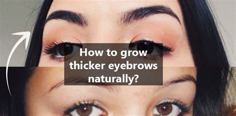 How To Grow Thicker Eyebrows Eyebrow Poster