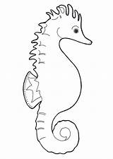 Caballito Seahorse Zeepaardje Marino Cavalluccio Kleurplaat Seepferdchen Malvorlage Caballitos Hippocampe Imprimir Coloriage Kleurplaten Ausmalbilder Ausmalbild Seepferd Stampare sketch template