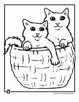 Coloring Kittens Pages Cats Print Cat Popular sketch template