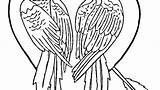 Coloring Hyacinth Parrot Getdrawings Printable Pages Getcolorings sketch template