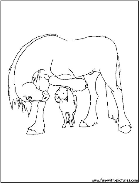 clydesdale coloring page images