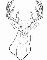 Deer Coloring Pages Head Realistic Outline Hunter Drawing Elk Print Hunting Printable Color Whitetail Getcolorings Colouring Getdrawings sketch template