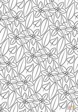 Pattern Coloring Pages Floral sketch template