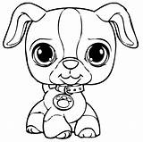 Coloring Puppy Pages Realistic Dog Cute Rocks Print sketch template