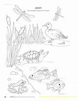 Pond Coloring Pages Animals Color Frog Printable Getcolorings Getdrawings sketch template