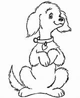 Chow Coloring Pages Color Getcolorings Dog sketch template
