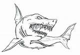 Shark Coloring Pages Megalodon Drawing Goblin Sketch Whale Color Paintingvalley Getcolorings Drawings Bull Sharks sketch template