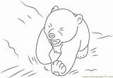 Coloring Polar Bear Little Lars Crying Pages Coloringpages101 Online sketch template