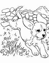 Coloring Beagle Pages Book Puppy Choose Board Kids Printable Crayola sketch template
