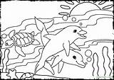 Coloring Pages Beach Sea Ocean Animals Scene Underwater Habitat Waves Theme Otter Life Color Print Colouring Seashore Clam Under Themed sketch template