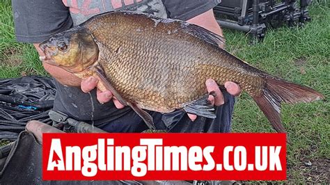 170lb of bream in an afternoon trip to angling club lake angling times