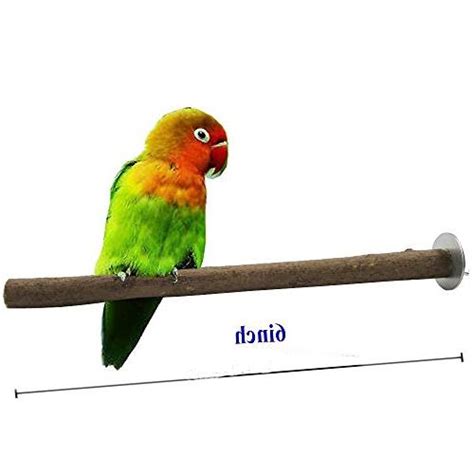 bird perches parrot cage perch wooden platform
