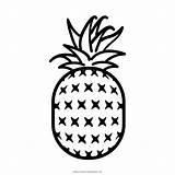 Abacaxi Colorir Pineapple Imprimir Preto Coloriage Livre Ananas Portable Graphics Imprimirdesenhos sketch template