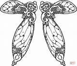 Fairy Wings Coloring Illustration Pages Drawing Printable Clip Clipart Drawings sketch template