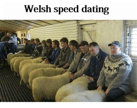welsh speed dating dating meme on me me