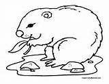 Gopher Coloring Pages Colormegood Animals sketch template